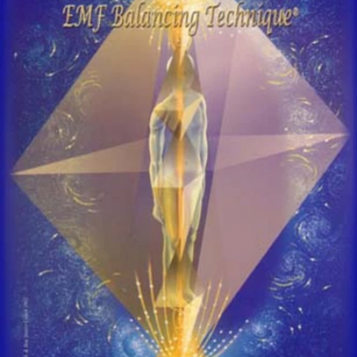 fases de la emf